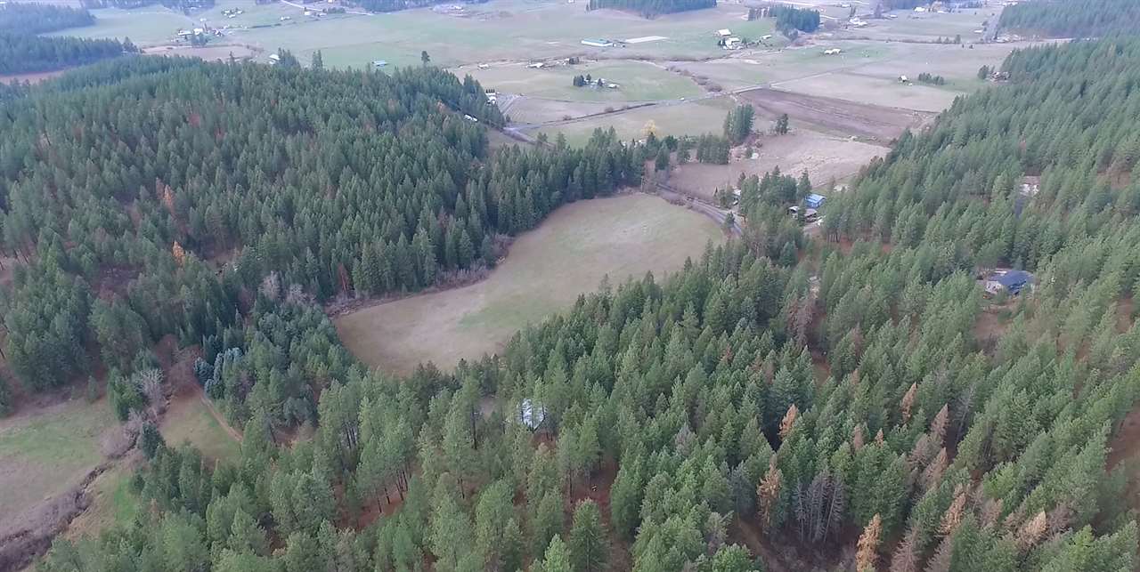 15424 North Forker Road Spokane, WA 99217 - Photo 3 of 19