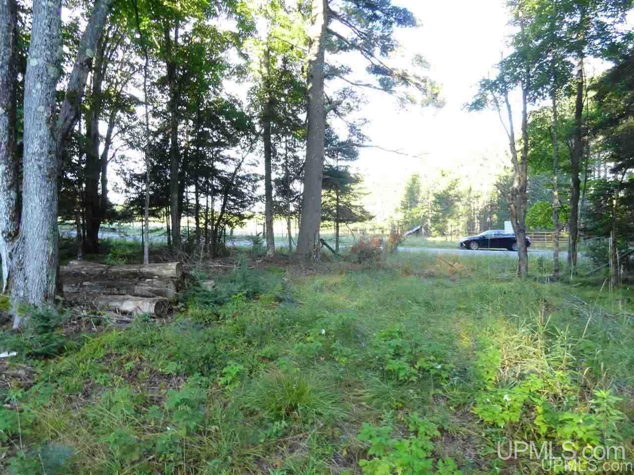 5-acres Co Rd Sa Cornell, MI 49818 - Photo 13 of 27