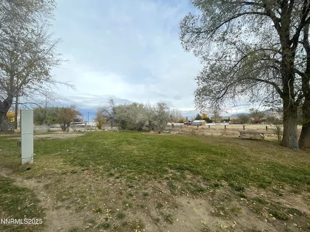 a view of a field with large trees