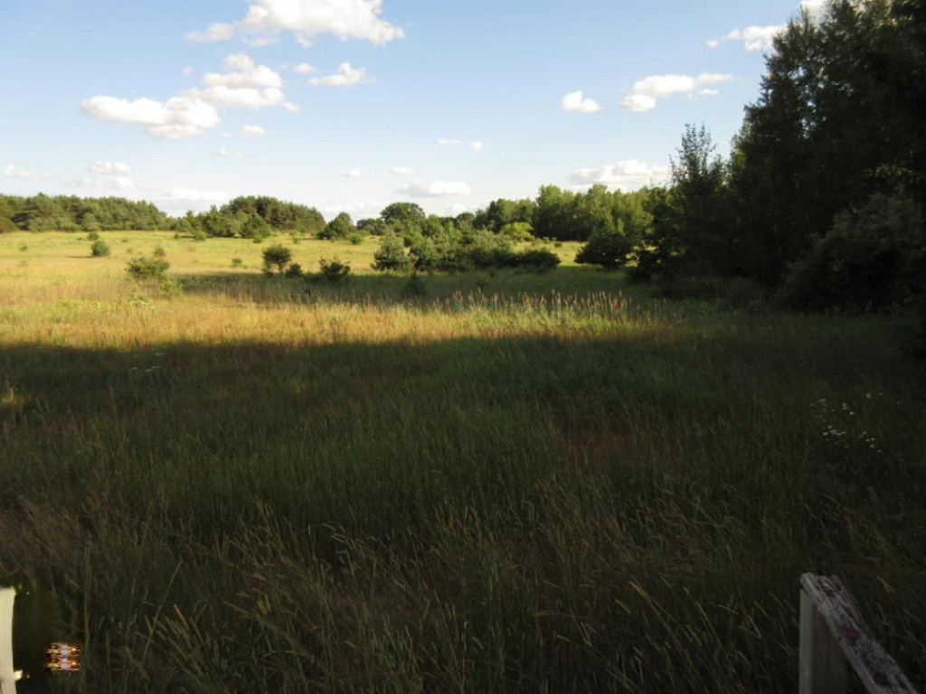 1595 North County Line Road Six Lakes, MI 48886 - Photo 6 of 16 UNADJUSTEDNONRAW_thumb_3be8