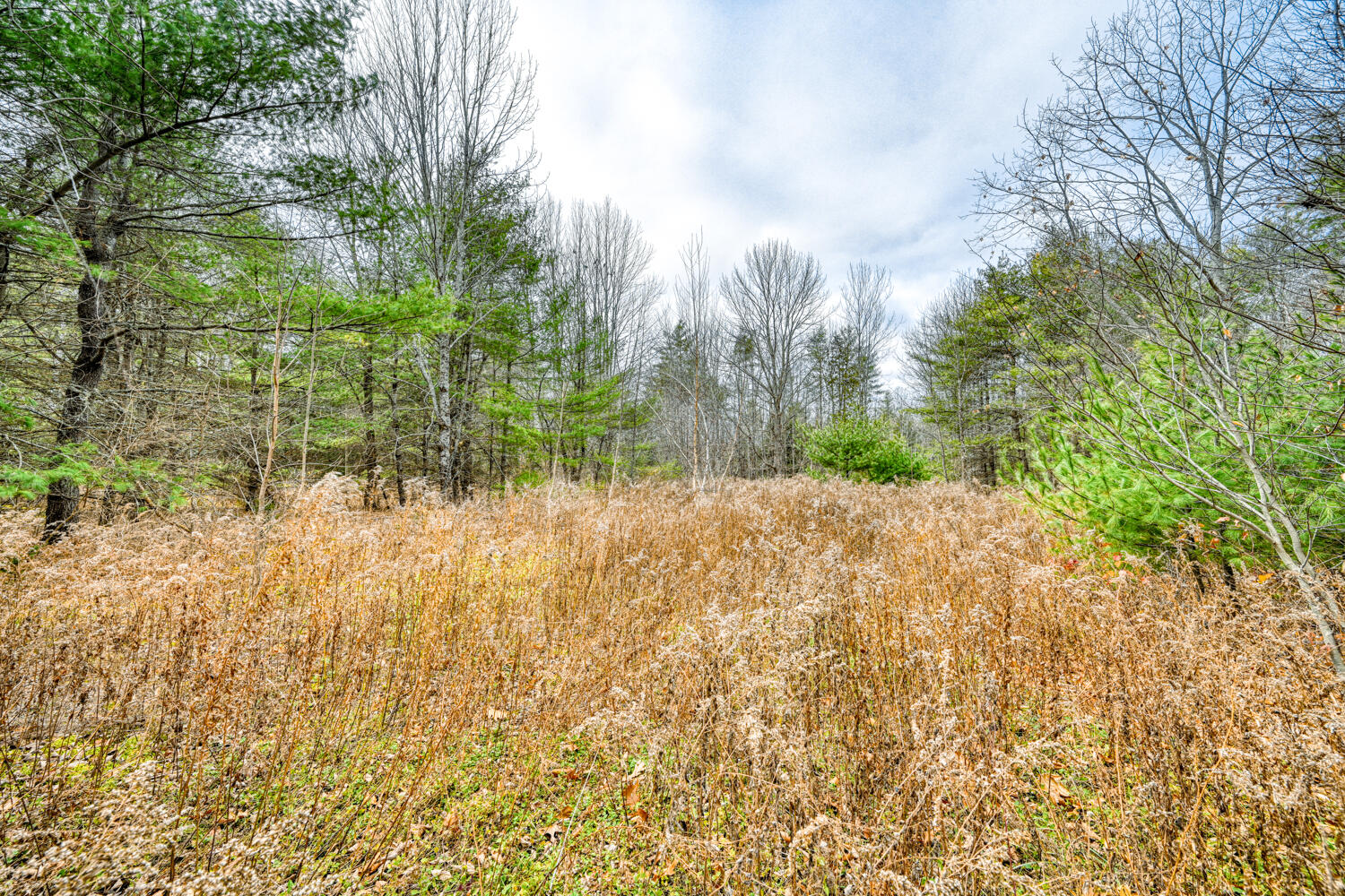 14 Map Road Albion, ME 04910 - Photo 3 of 35 109789gr-106