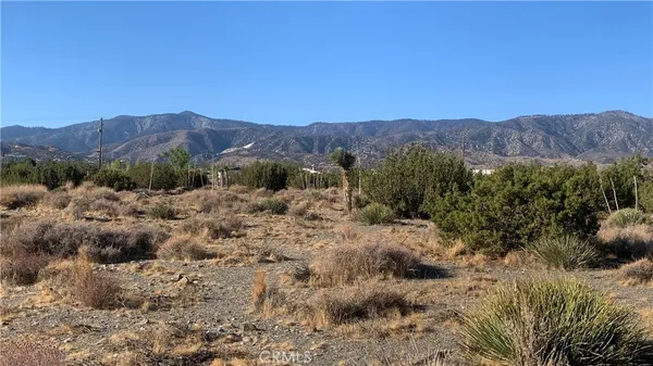 a view of a lush green field with mountains in the background