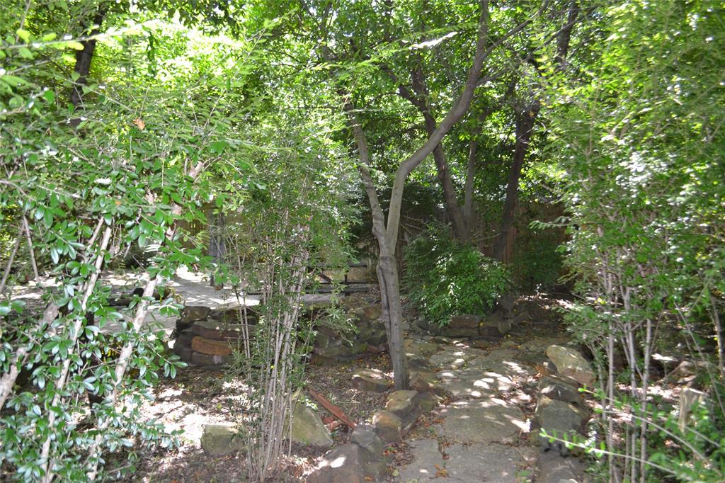 919 Denton Street Denton, TX 76201 - Photo 23 of 23 Private, wooded landscape offering a peaceful escape.