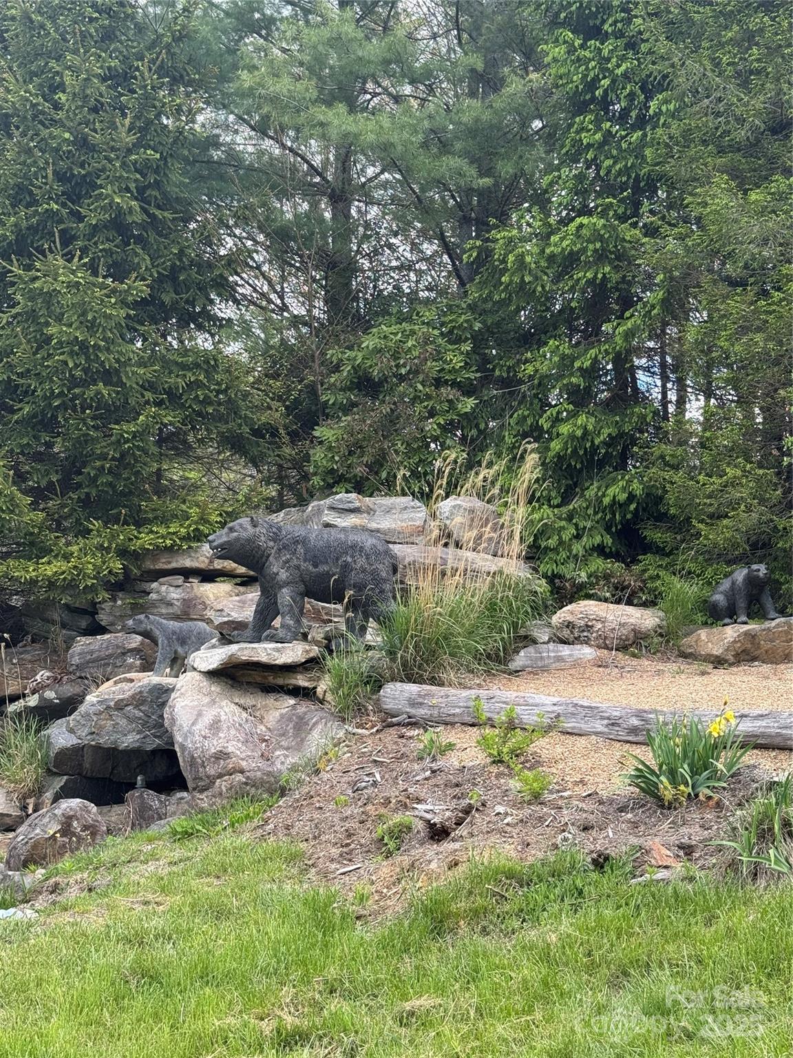 Tbd Black Bear Trail, Unit 23 Newland, NC 28657 - Photo 11 of 13 a view of a lake with large trees