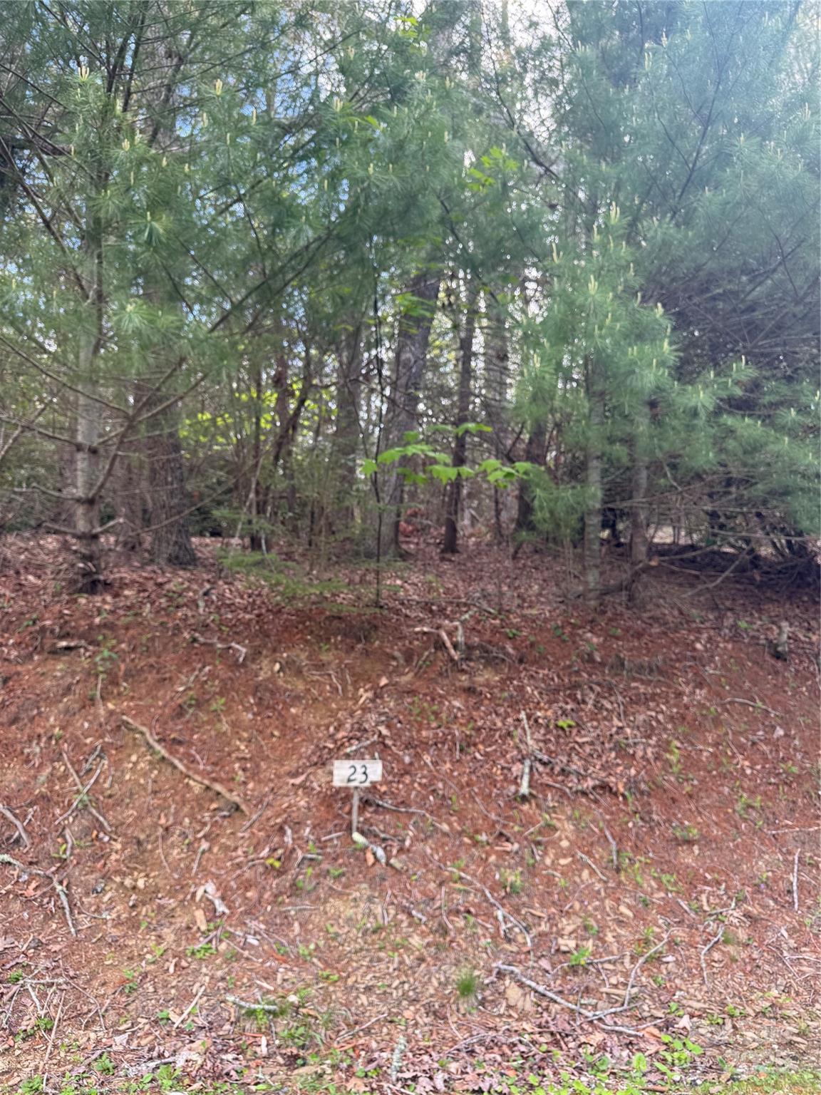 Tbd Black Bear Trail, Unit 23 Newland, NC 28657 - Photo 2 of 13 a view of a forest with trees in the background
