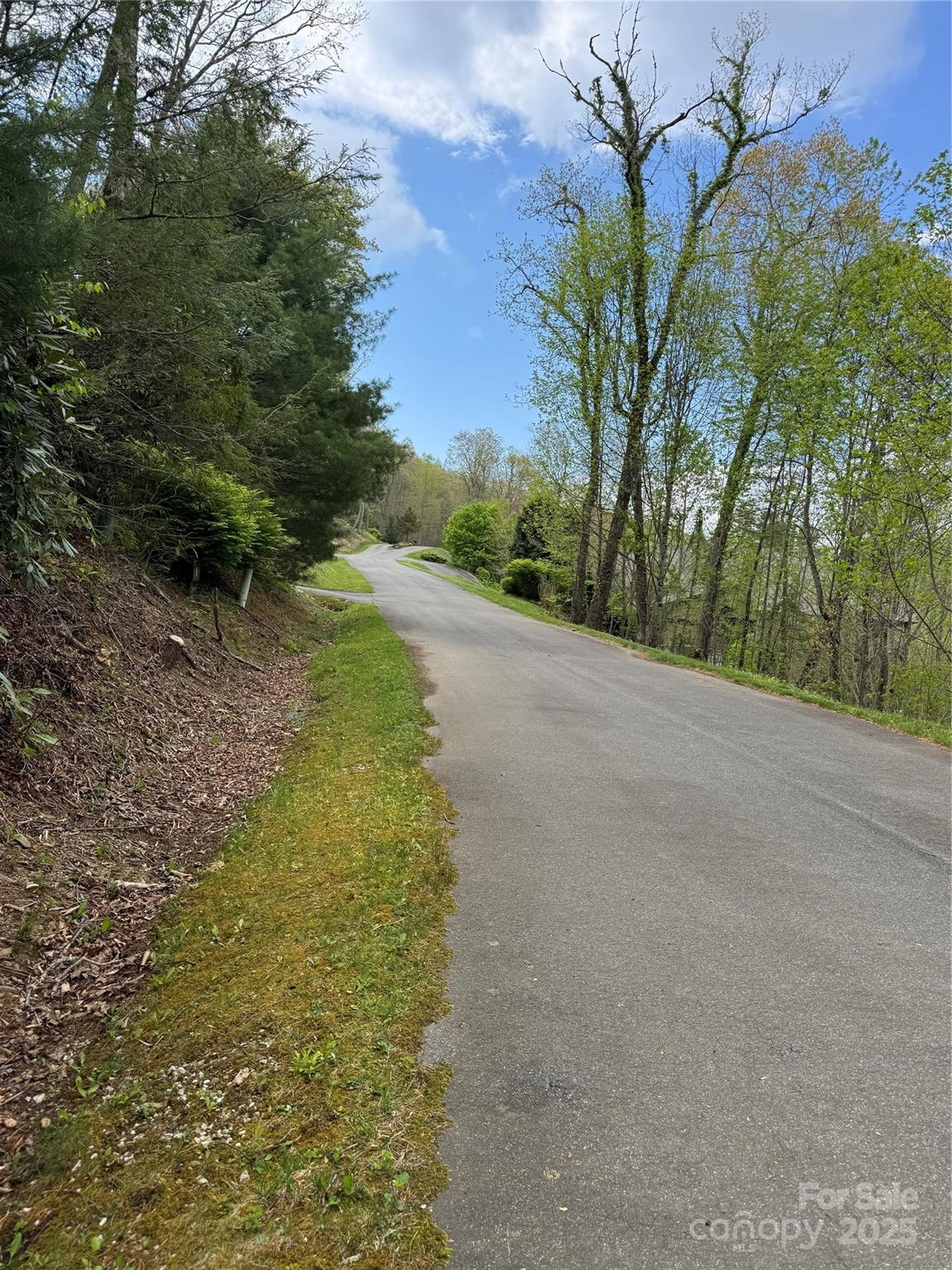 Tbd Black Bear Trail, Unit 23 Newland, NC 28657 - Photo 7 of 13 a view of a yard with a tree