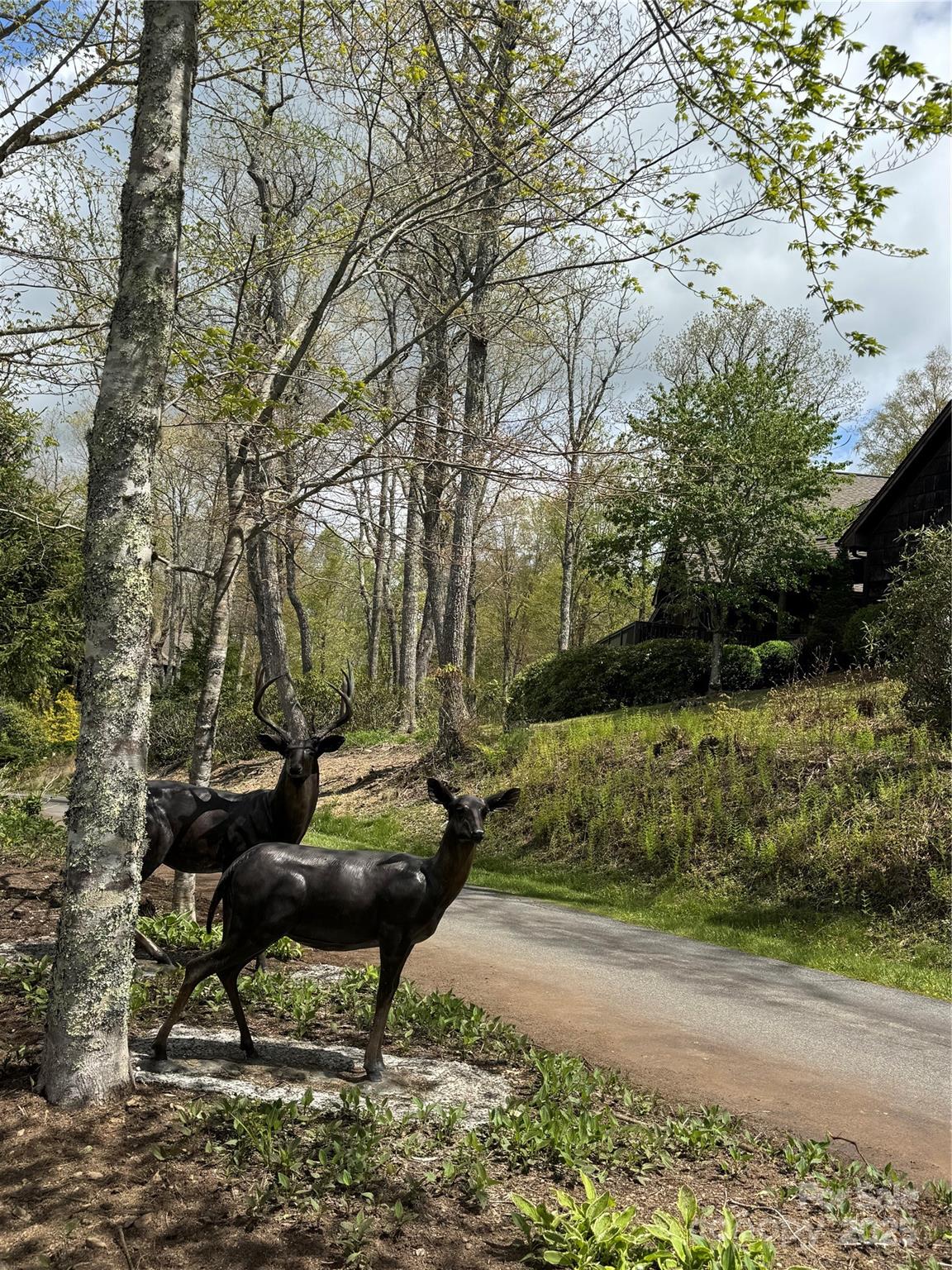 Tbd Black Bear Trail, Unit 23 Newland, NC 28657 - Photo 8 of 13 a sitting area with furniture and trees