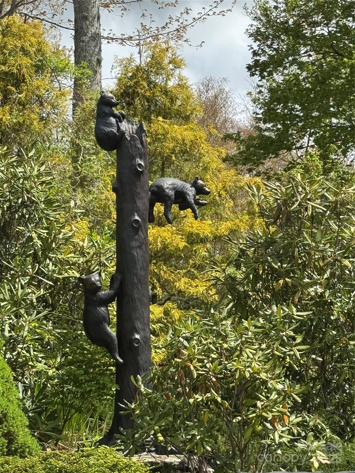 Tbd Black Bear Trail, Unit 23 Newland, NC 28657 - Photo 10 of 13 a picture of tree