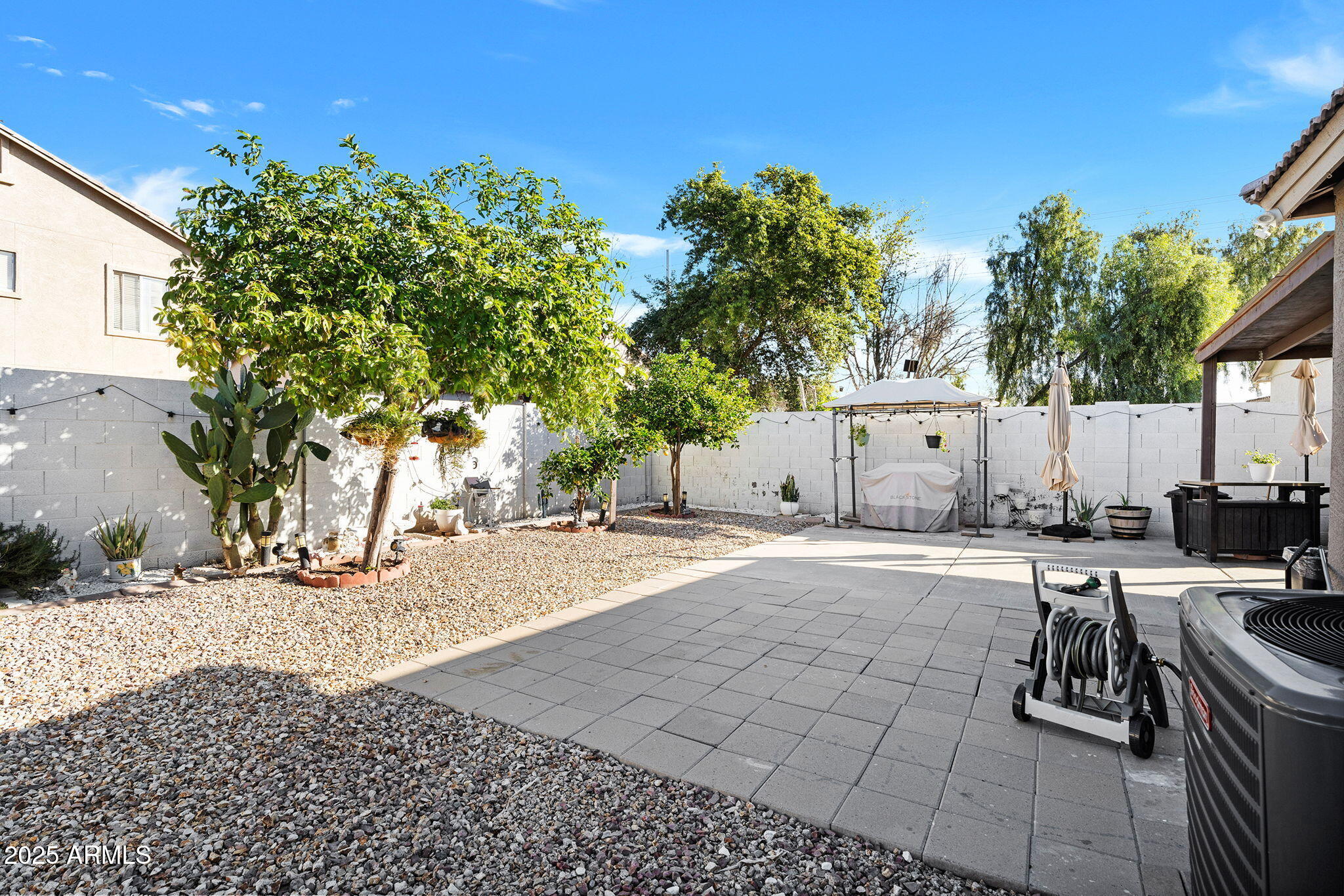 13122 West Calavar Road Surprise, AZ 85379 - Photo 29 of 34 a view of a backyard of the house