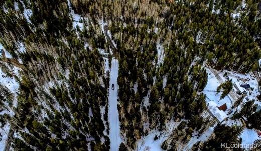 Lot 17 Long Road Idaho Springs, CO 80452 - Photo 4 of 11 Gallery Image 4