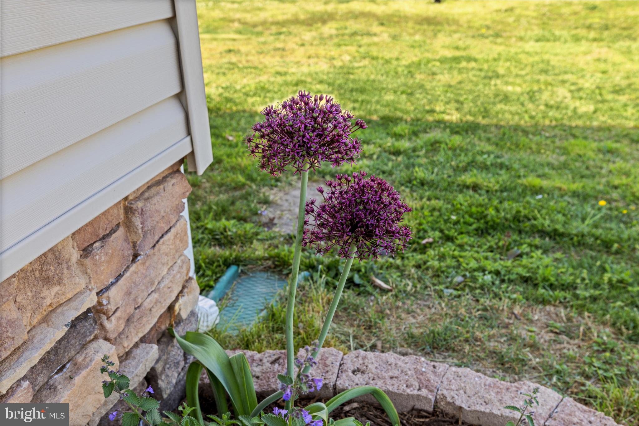 1523 Bowie Road Colonial Beach, VA 22443 - Photo 24 of 34 a view of a yard