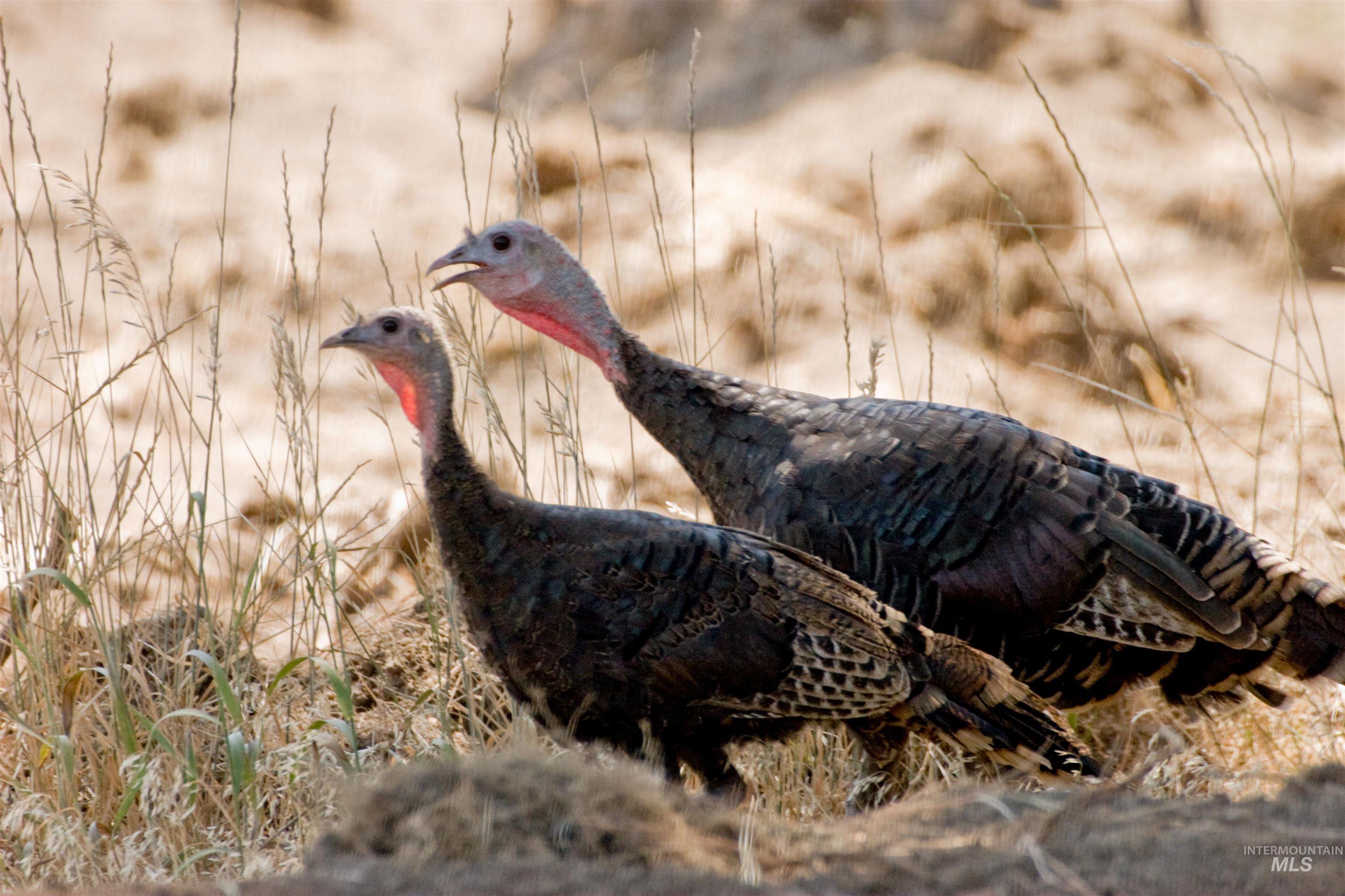 9 Blk Whitewater Way Garden Valley, ID 83622 - Photo 21 of 48