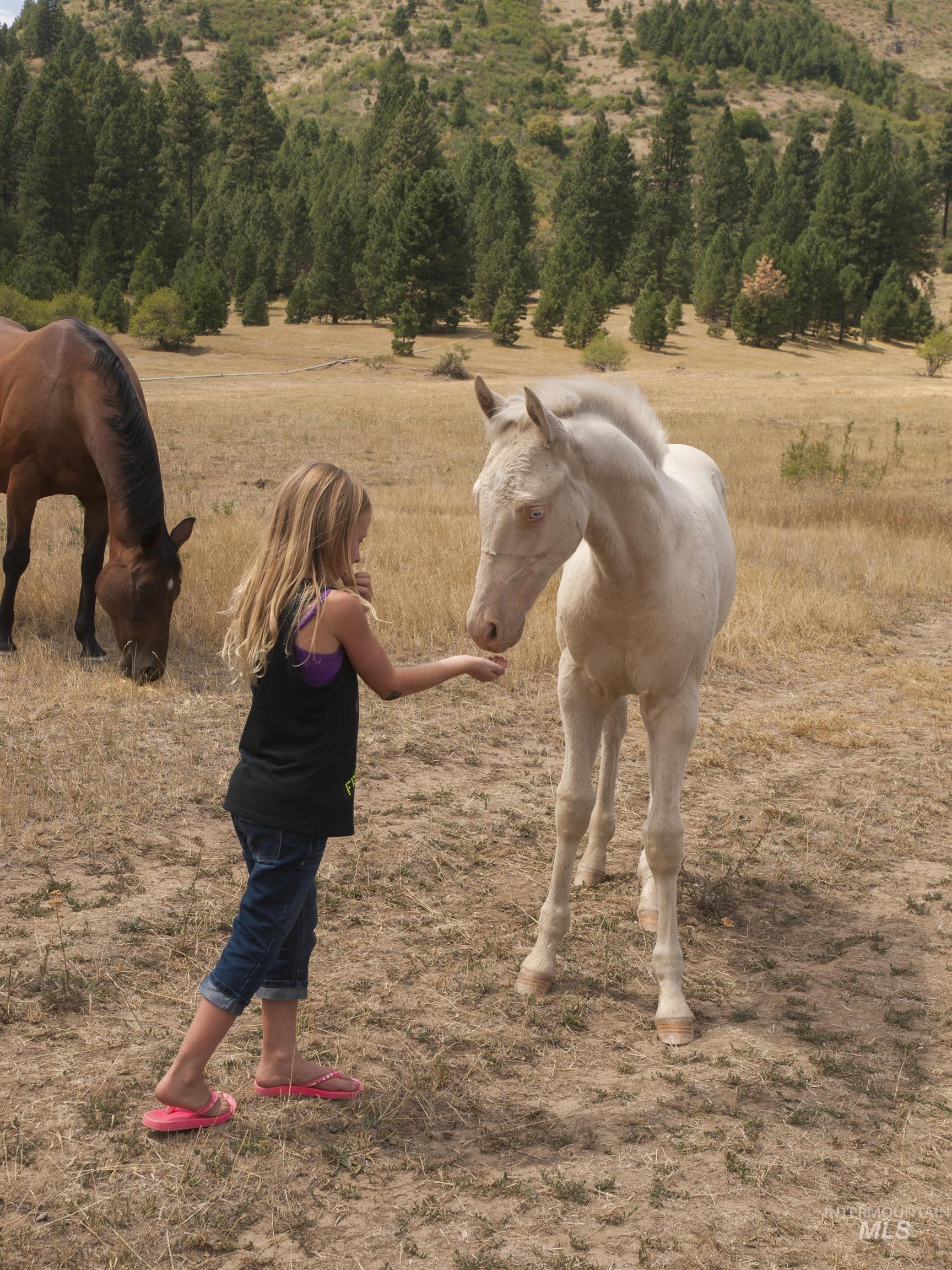 9 Blk Whitewater Way Garden Valley, ID 83622 - Photo 24 of 48