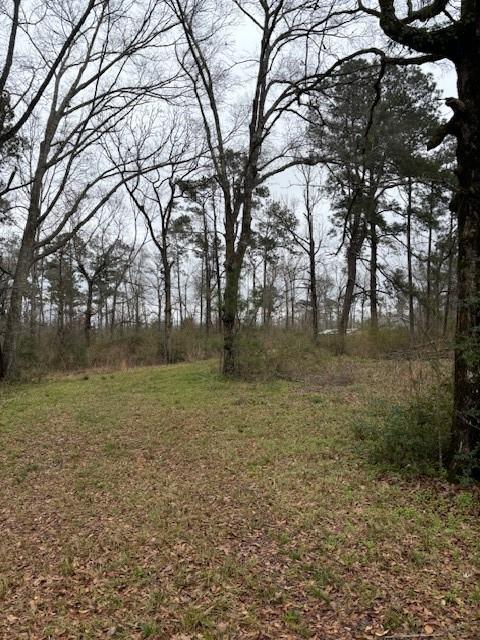 51118 Simmons Road Loranger, LA 70446 - Photo 3 of 7