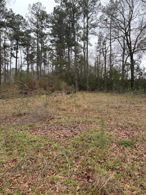 51118 Simmons Road Loranger, LA 70446 - Photo 4 of 7