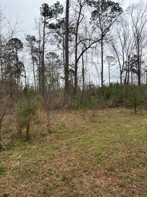 51118 Simmons Road Loranger, LA 70446 - Photo 6 of 7