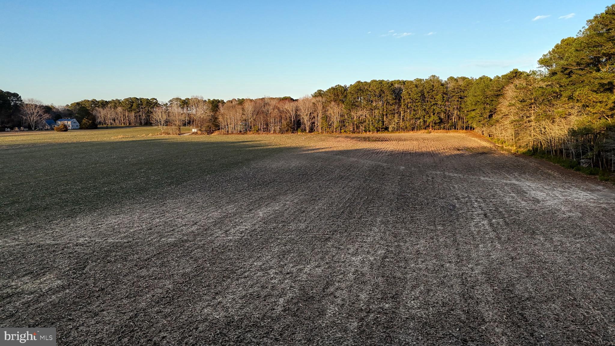Lot 1 Muskrattown Road Bishopville, MD 21813 - Photo 89 of 94