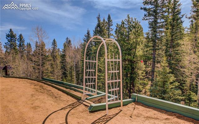 1121 Ridge Road Divide, CO 80814 - Photo 35 of 36