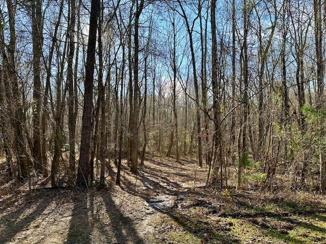Lot 16 Oak Ridge Drive Waverly Hall, GA 31831 - Photo 5 of 13 a view of wooden fence