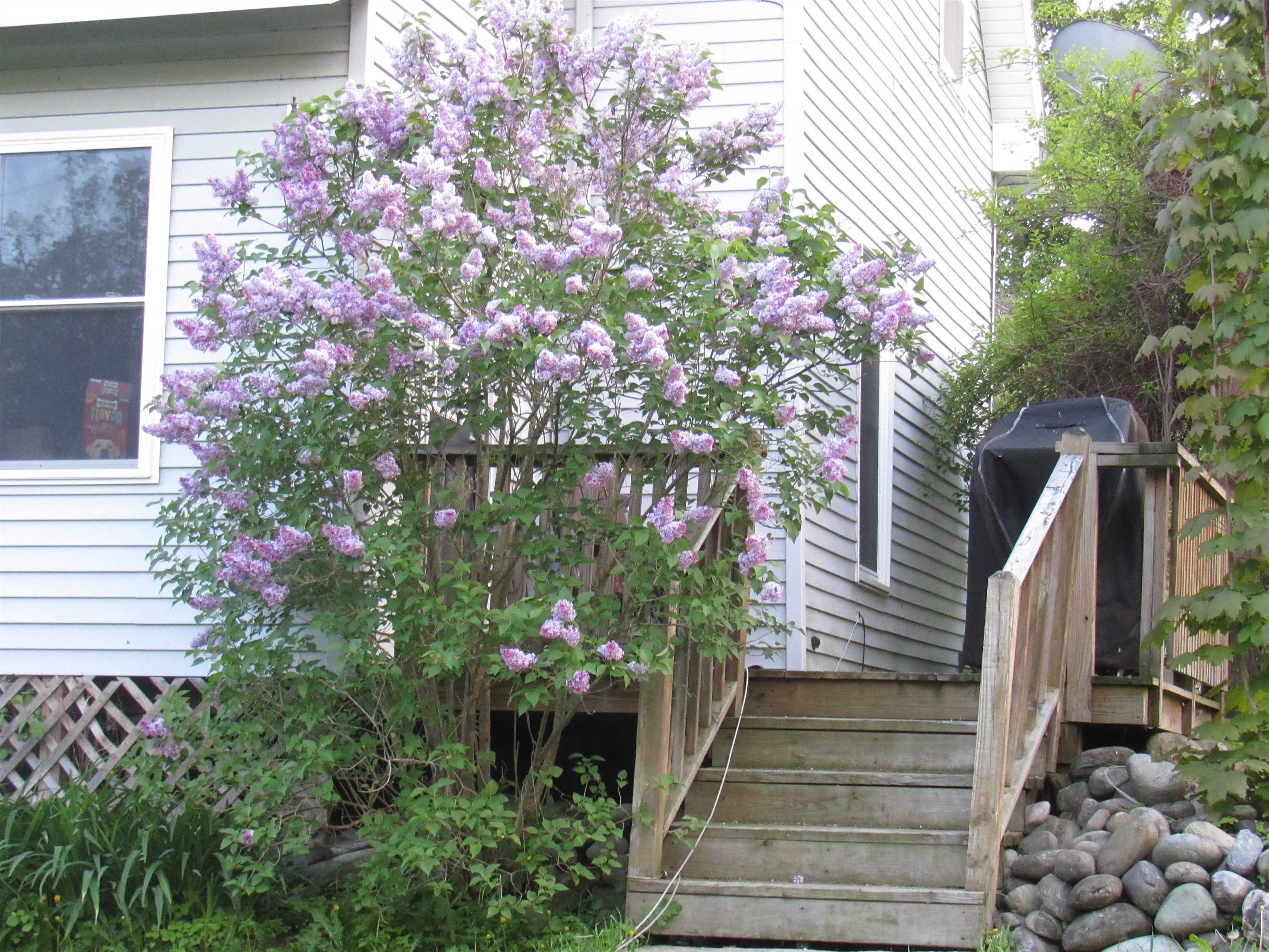 77 Maple Street Orleans, VT 05860 - Photo 3 of 27