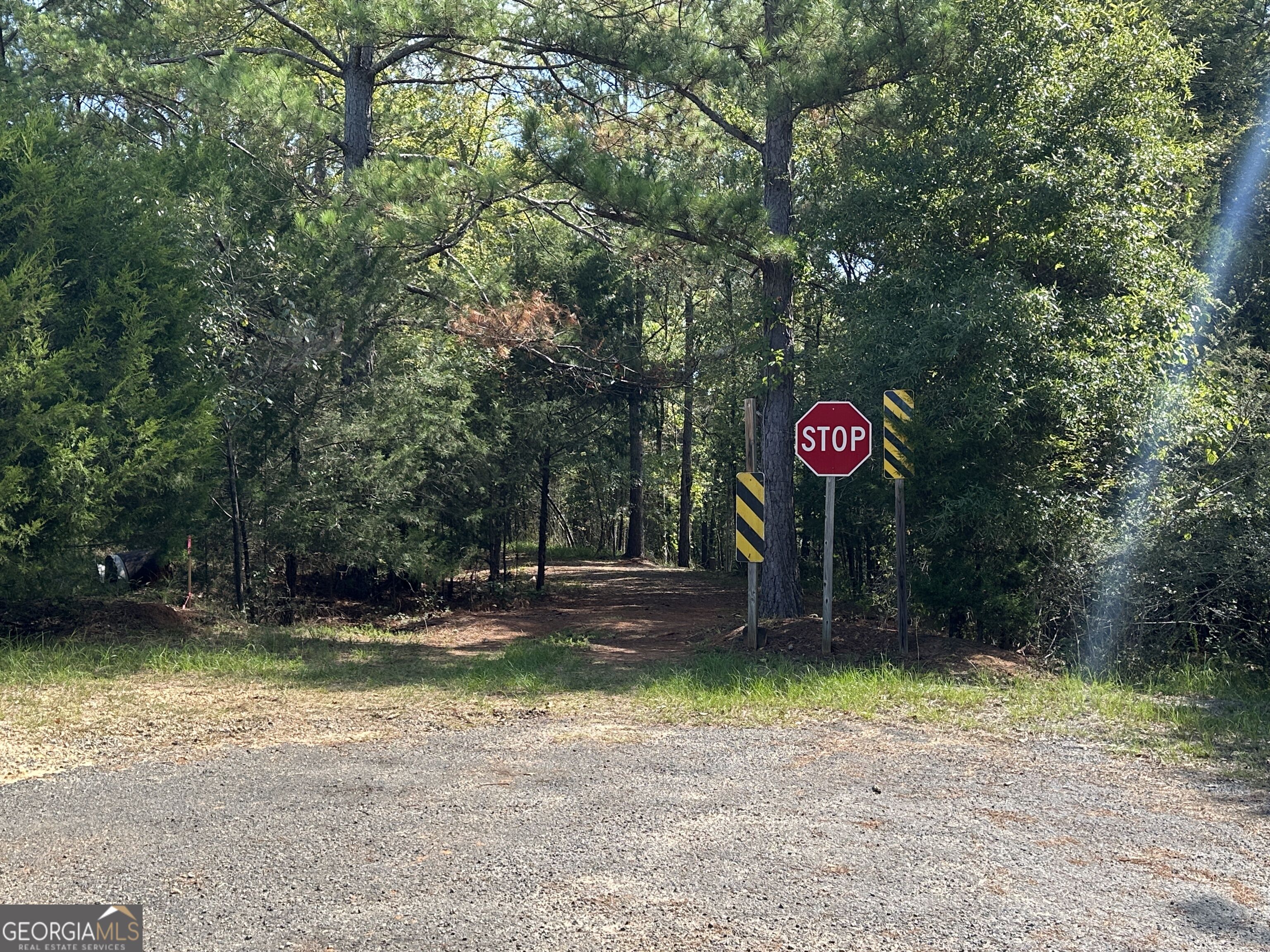 119 Hough Johnson Road Haddock, GA 31033 - Photo 1 of 39 Gallery Image 1