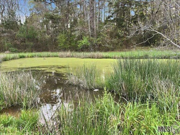 $375,000 | 15410 Port Hudson-Pride Road, Pride, LA 70770