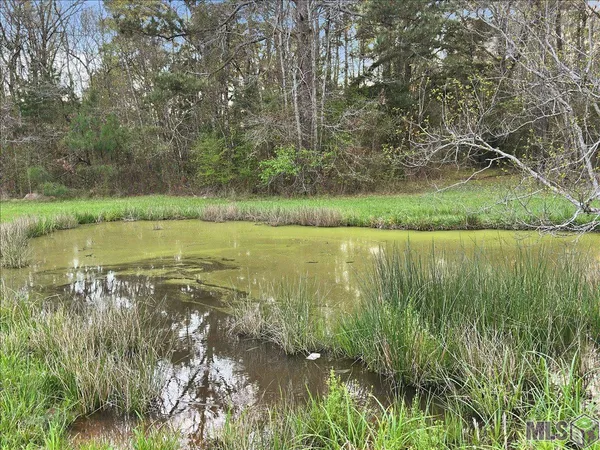 $375,000 | 15410 Port Hudson-Pride Road, Pride, LA 70770