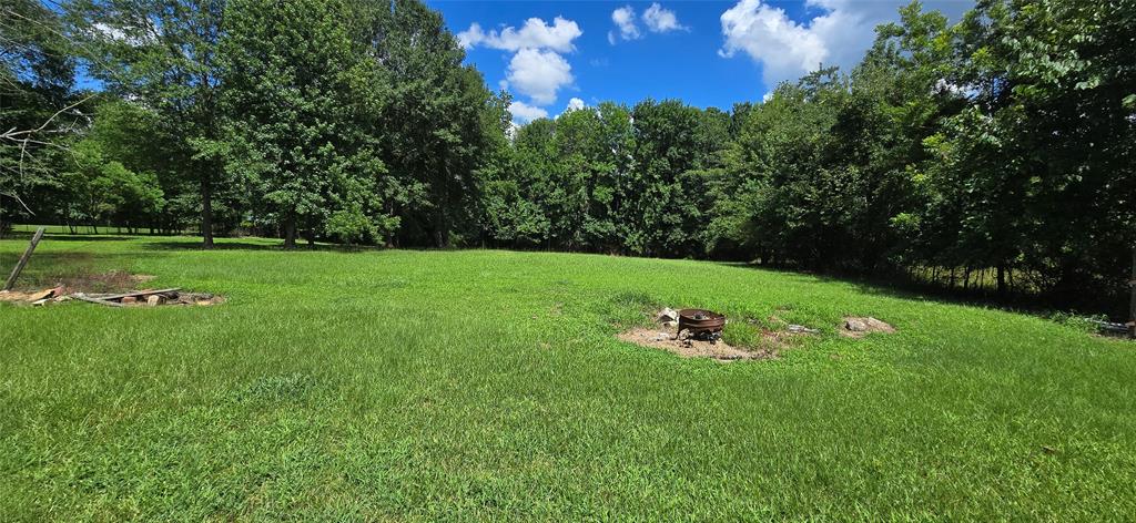 409 Elm Street Cullen, LA 71075 - Photo 9 of 12 a view of a large yard with large trees