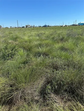 a view of a field with an ocean