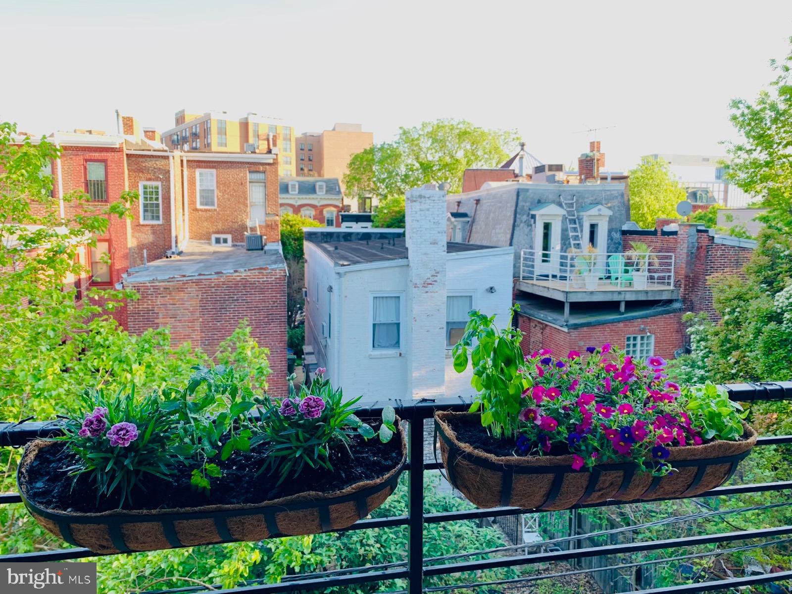 462 Ridge Street Northwest, Unit 6 Washington, DC 20001 - Photo 18 of 50