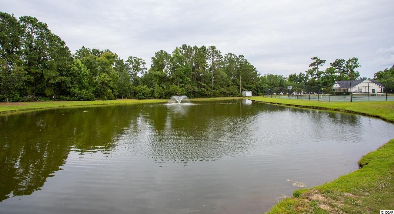 4315 Lotus Court, Unit G Murrells Inlet, SC 29576 - Photo 24 of 25 Gallery Image 24