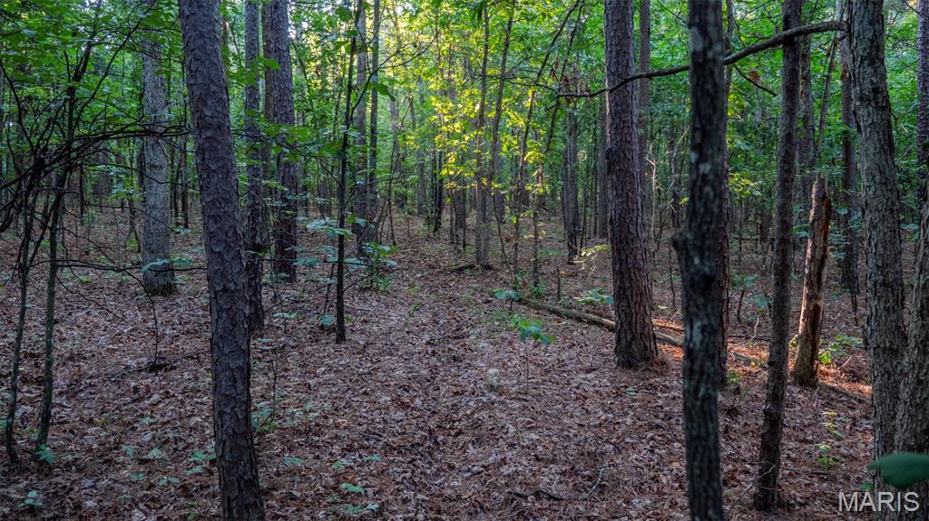 11620 Slaughter Road Licking, MO 65542 - Photo 8 of 38 Gallery Image 8