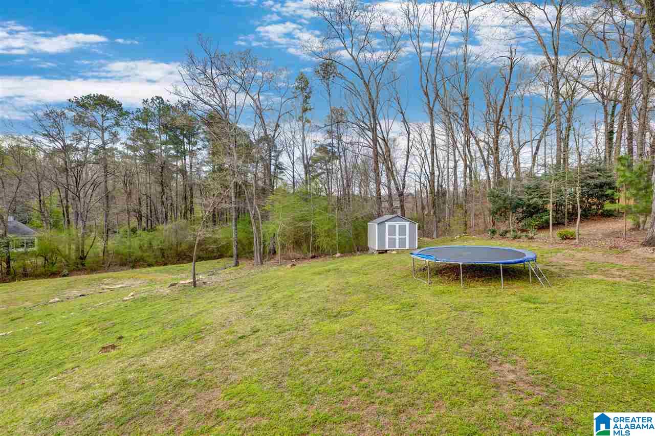 6110 Eagle Ridge Drive Pinson, AL 35126 - Photo 26 of 27 Gallery Image 26