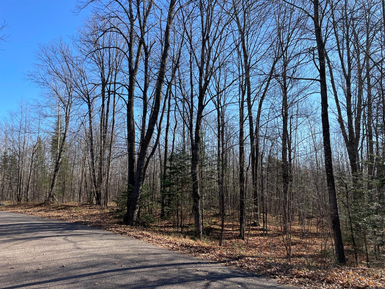 Lot 3 Murphy Lake Road Presque Isle, WI 54557 - Photo 5 of 12 Gallery Image 5