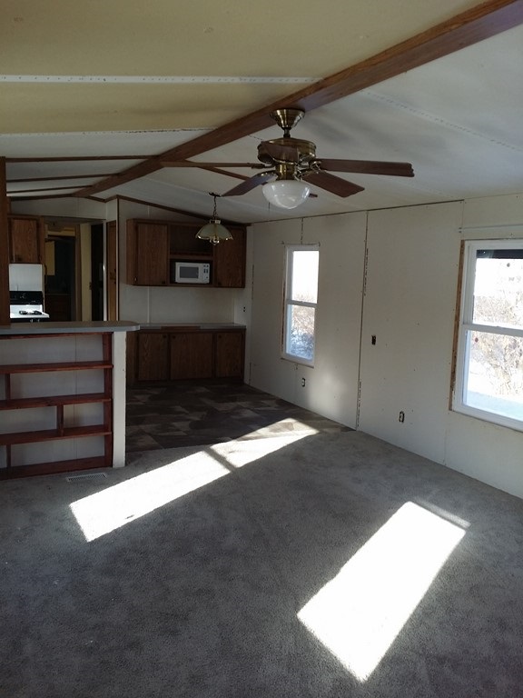 6611 North Lumberjack Road Riverdale, MI 48877 - Photo 3 of 8 1841850-2.JPG