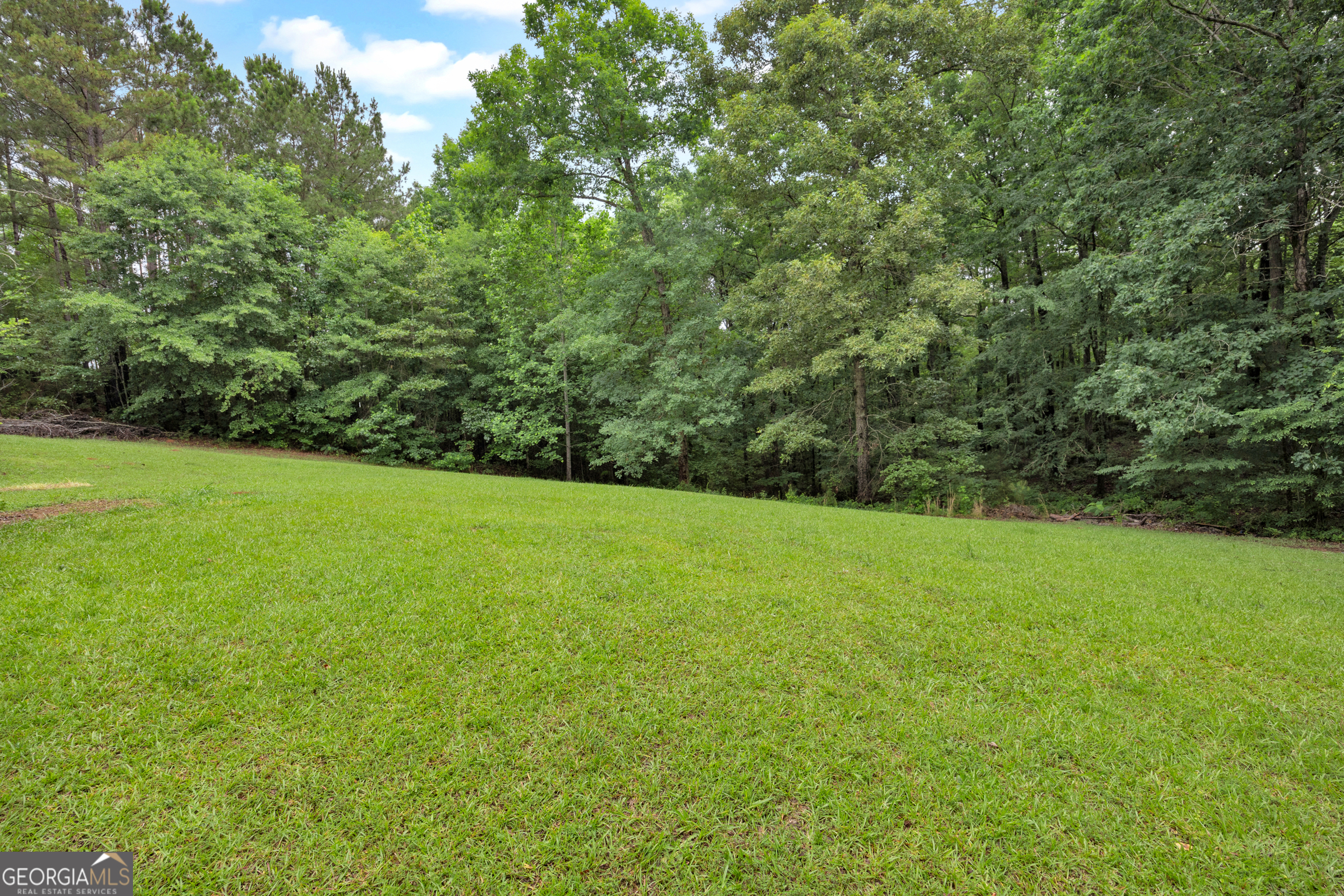 182 Long Piney Road Mansfield, GA 30055 - Photo 50 of 56