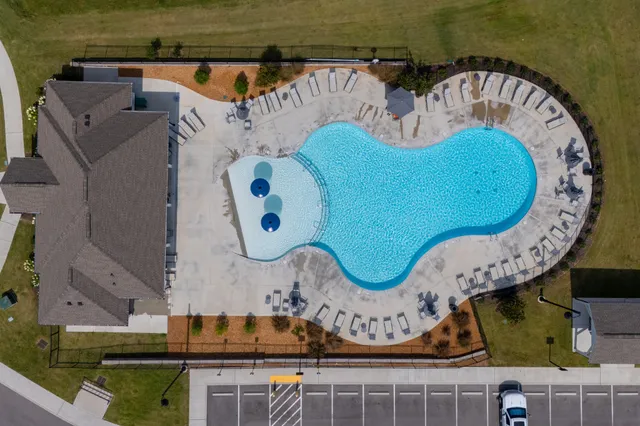 a view of a backyard with plants