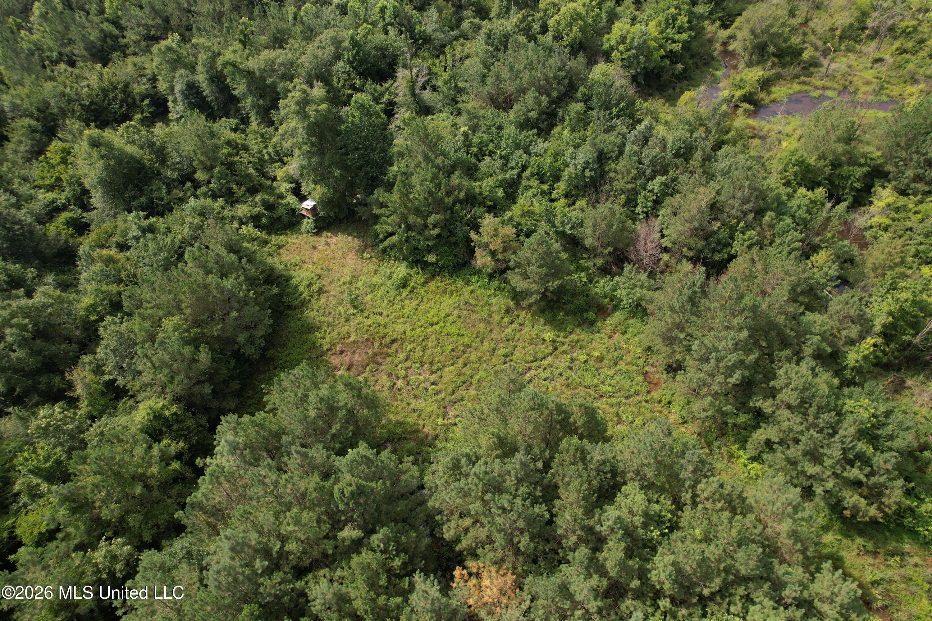 Winfry Road Kilmichael, MS 39747 - Photo 14 of 22 dji_fly_20260630_100452_157_178303788914