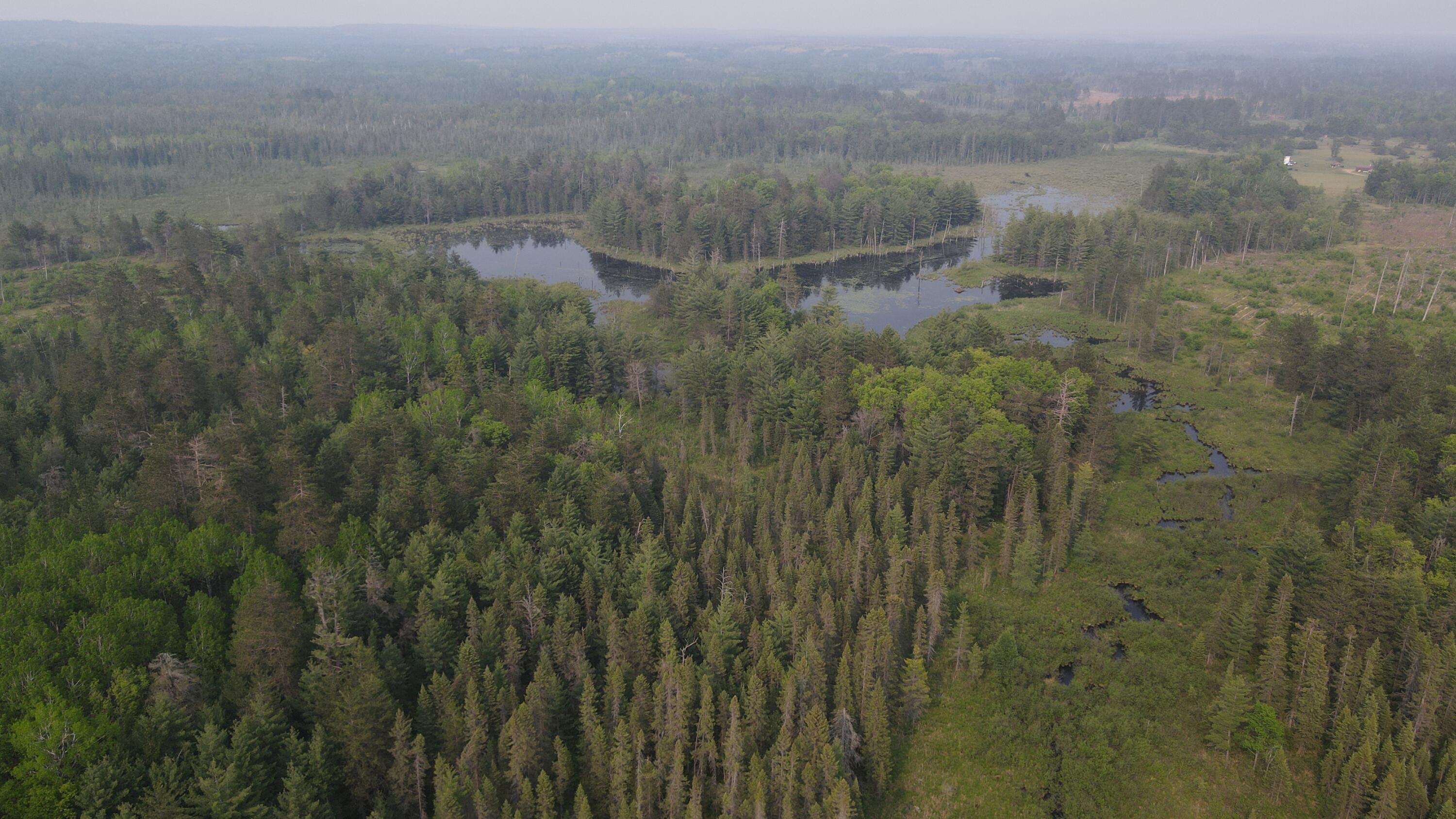 Parcel B Cherry Creek Road Grayling, MI 49738 - Photo 9 of 25 DJI_0941