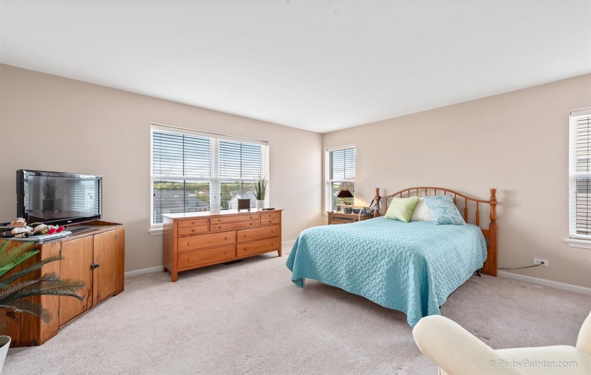 243 Grand Ridge Road St. Charles, IL 60175 - Photo 17 of 29 a bedroom with a bed and a couch