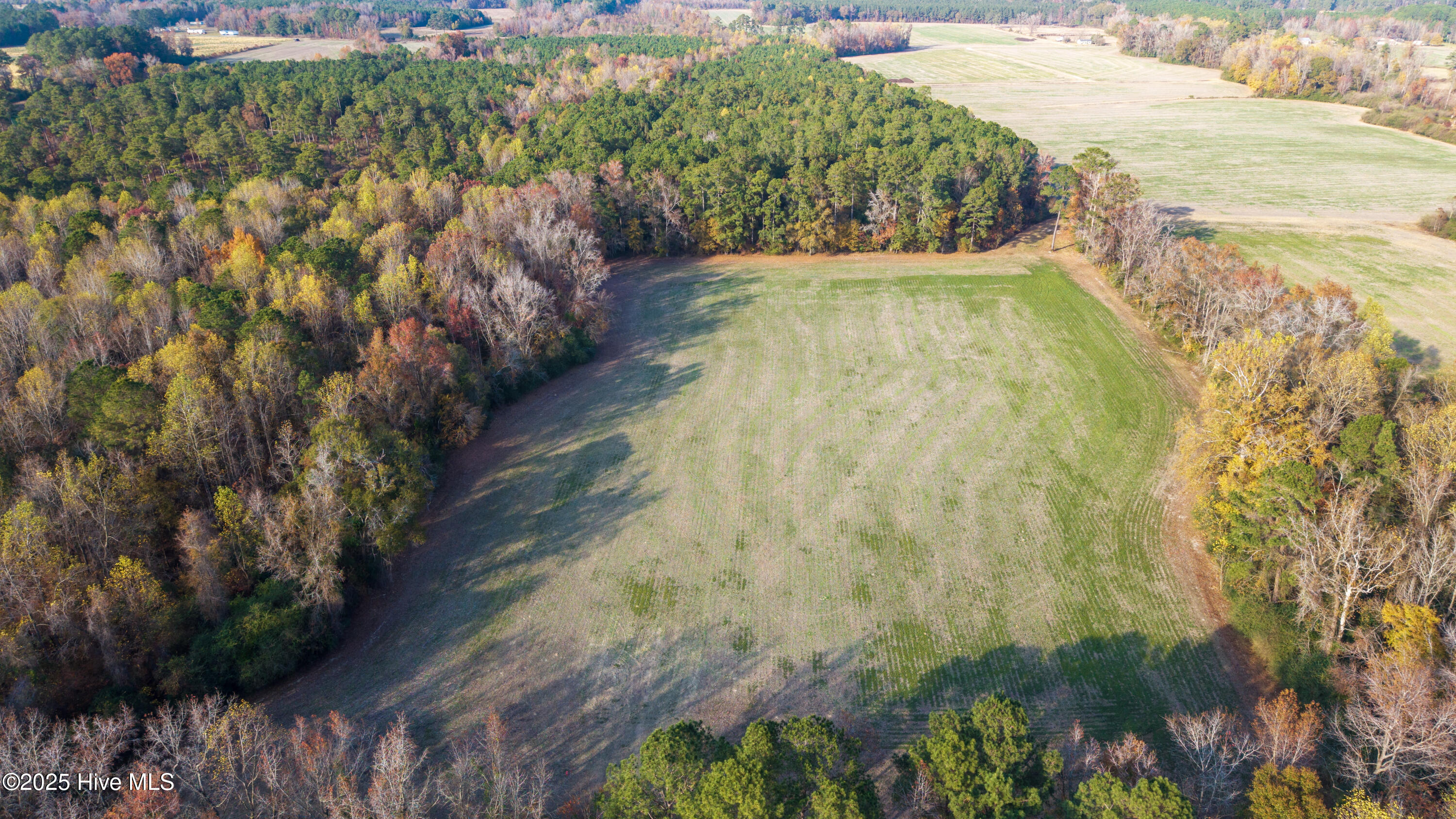 41.5-acres High School Road Teachey, NC 28464 - Photo 5 of 27 1a