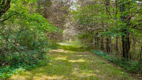 $975,000 | 3630 West Trimble Road, Milton, TN 37118
