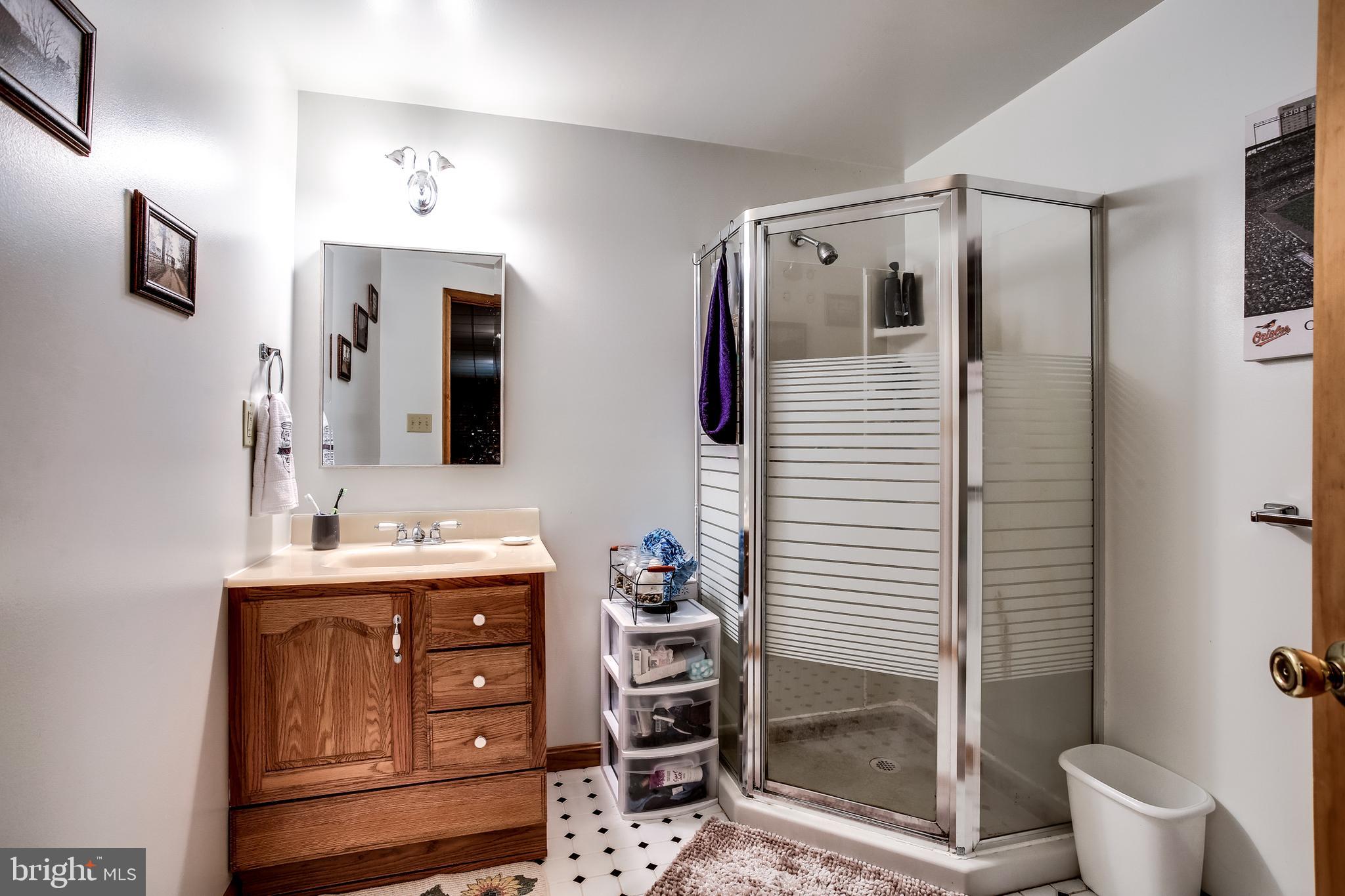 3784 Roop Road New Windsor, MD 21776 - Photo 33 of 49 Lower bathroom
