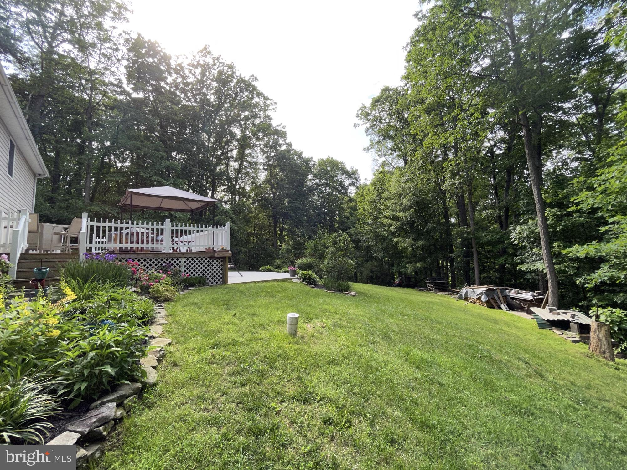 3784 Roop Road New Windsor, MD 21776 - Photo 38 of 49 side backyard
