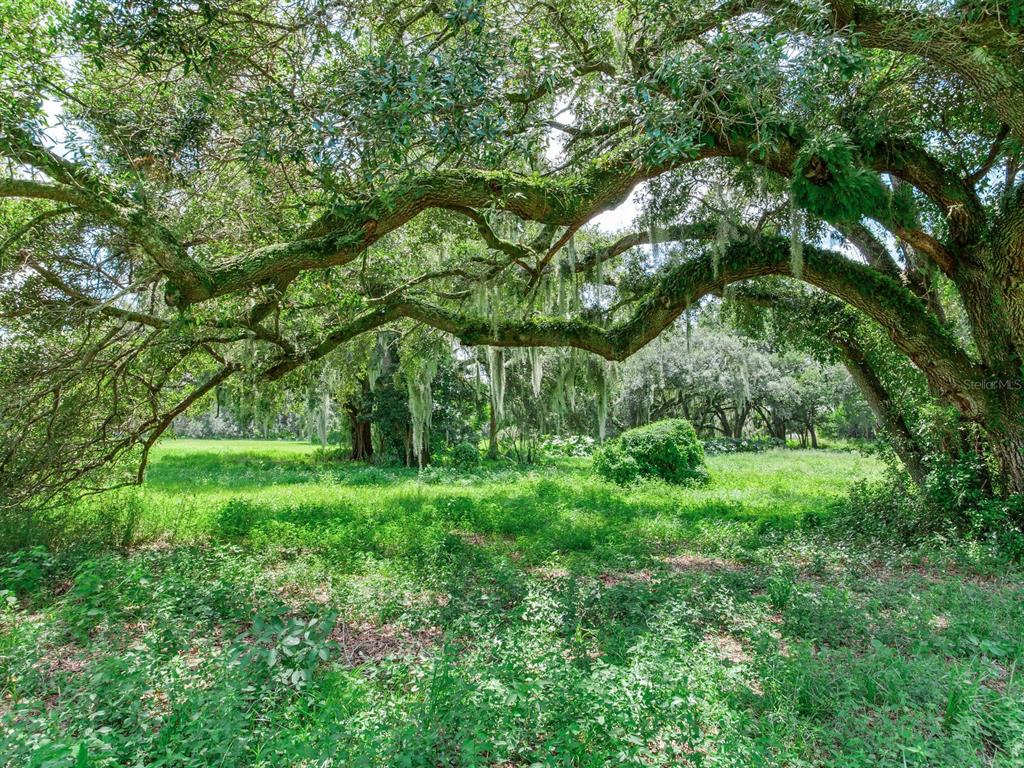 2910 Ranch Road Valrico, FL 33596 - Photo 9 of 14 Gallery Image 9
