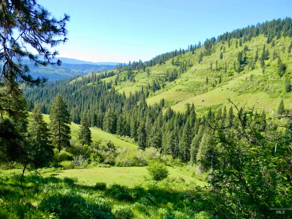 $7,400,000 | 151 Ranta Road, Kooskia, ID 83539
