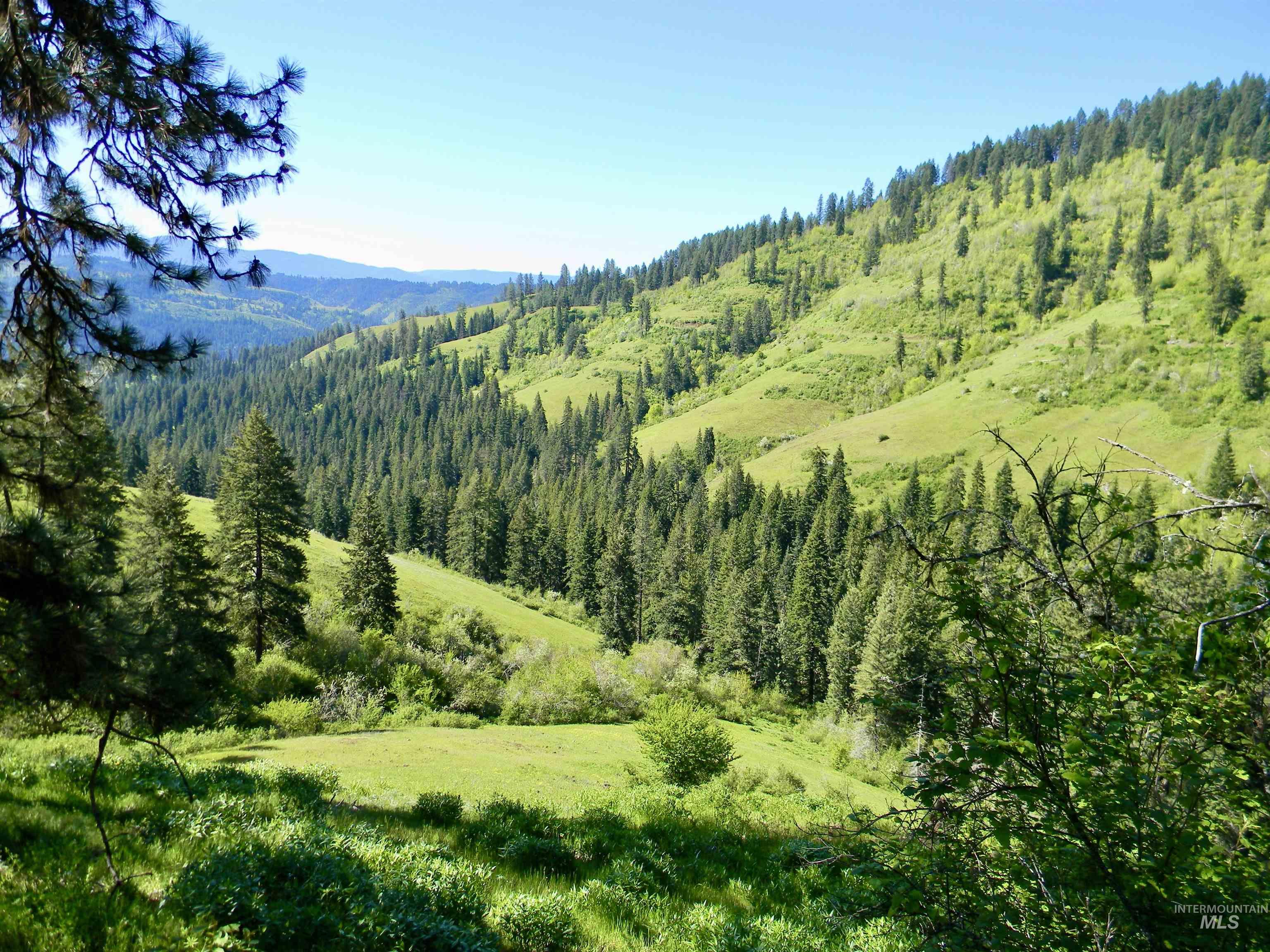 151 Ranta Road Kooskia, ID 83539 - Photo 26 of 33