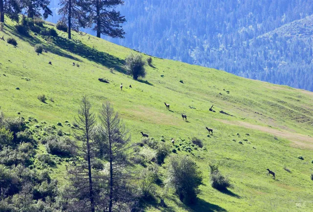 $7,400,000 | 151 Ranta Road, Kooskia, ID 83539