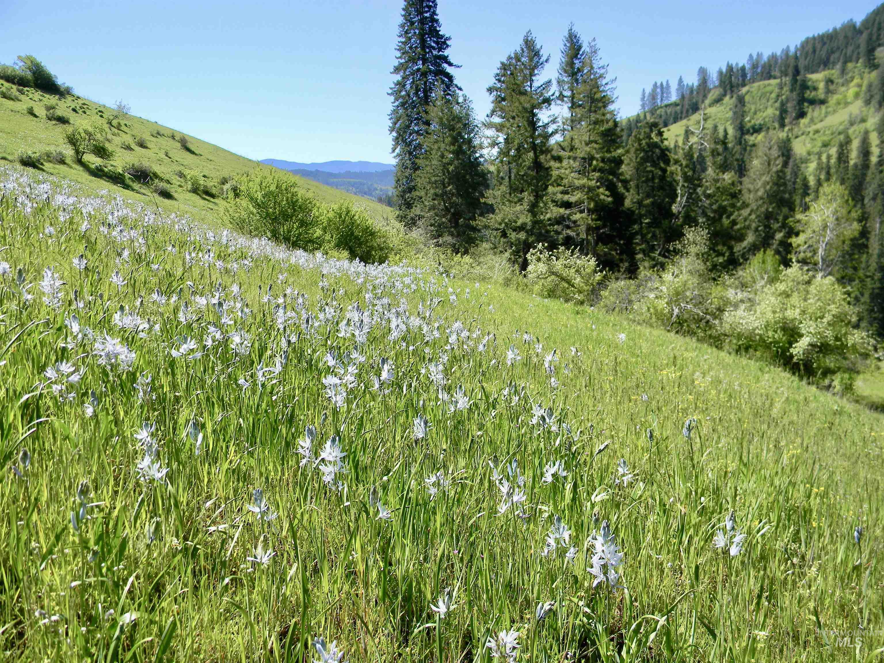 151 Ranta Road Kooskia, ID 83539 - Photo 29 of 33