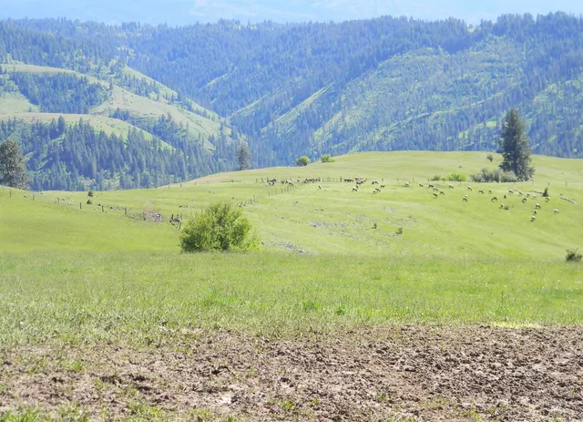 $7,400,000 | 151 Ranta Road, Kooskia, ID 83539